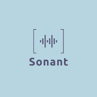 Sonant Consulting Group